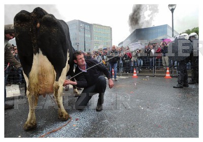 European dairy farmers demonstration (p 5437)