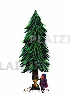 Kerstboom (p 5426)