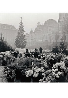 Bruxelles dans les années 50, Grand' Place (P5284)