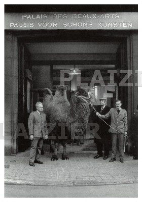Marcel Broodthaers et l'arivée du chameau au Palais de Beaux Arts Bxl, 1974 (p 2600)