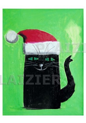 Zwarte Kat (p 5349)