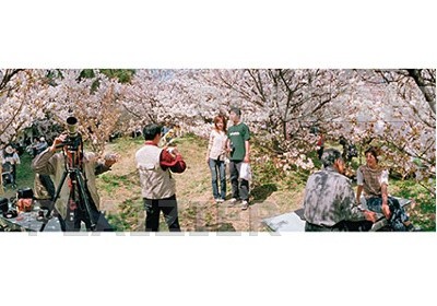 Kyoto, cérisiers en fleur, 2005 (p 6071)