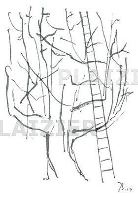 boom met ladder (p 6076)