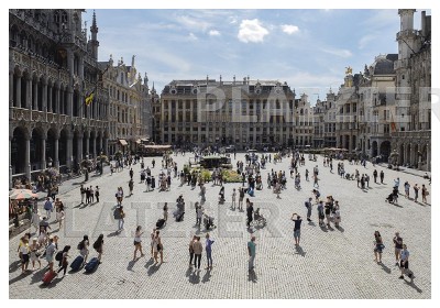 Brussels, Grand-Place, flower market, 2015 (p 6171)
