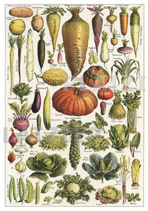Légumes, Larousse Ménager, 1926 (P6281)