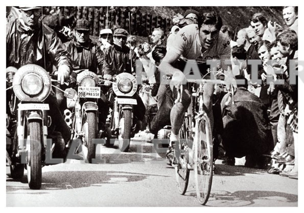 Eddy Merckx pendant le Tour de France 1969 (P6407)